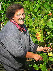 Elisabeth Drescher bei der Weinlese